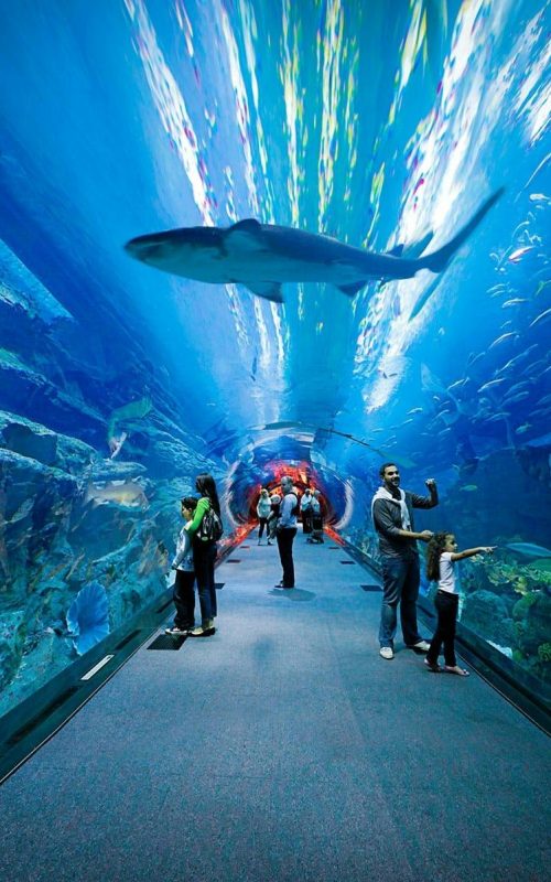 dubaiacquarium-jpg_header-63383